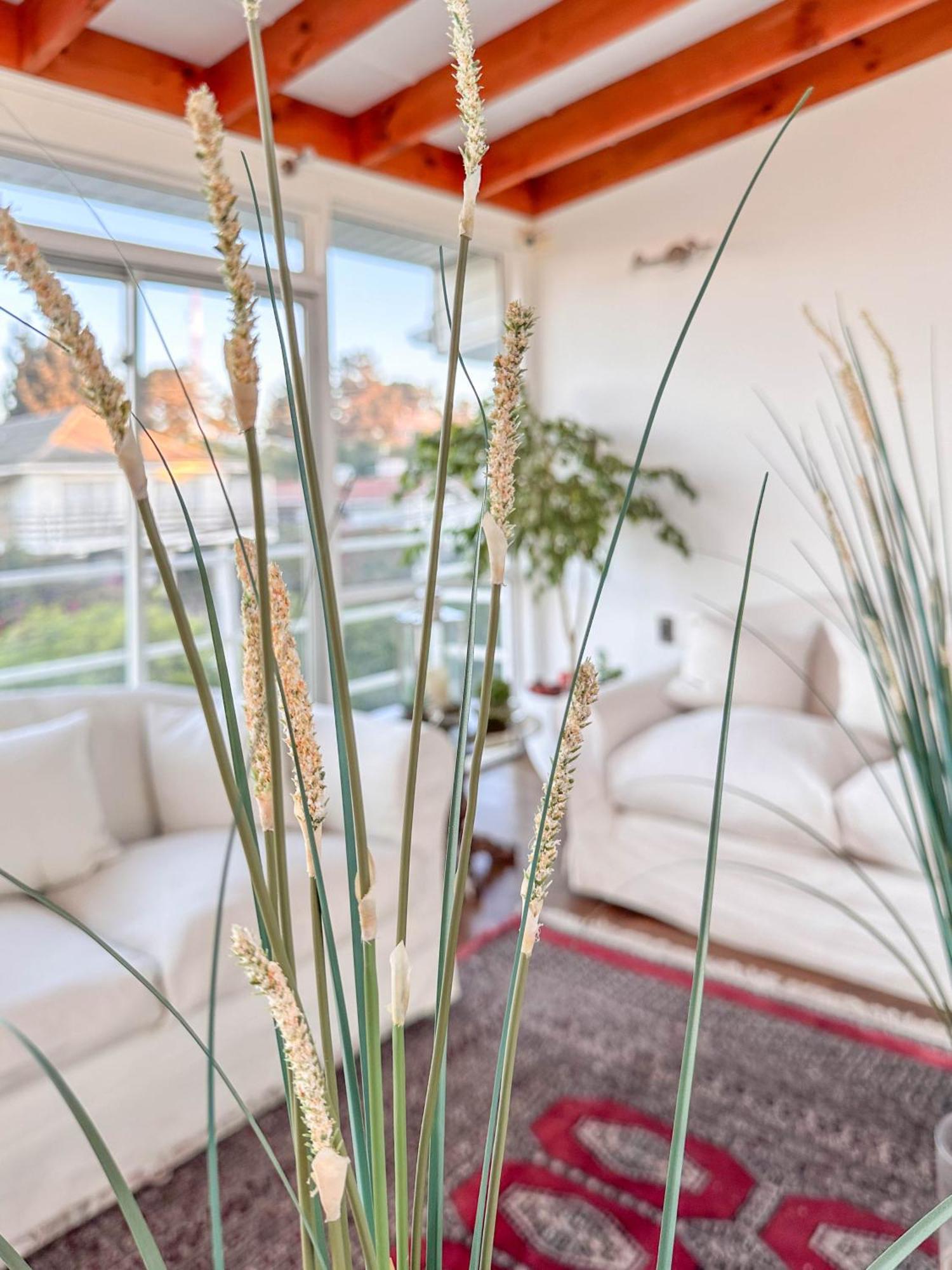 Kai Bed And Breakfast Algarrobo Luaran gambar